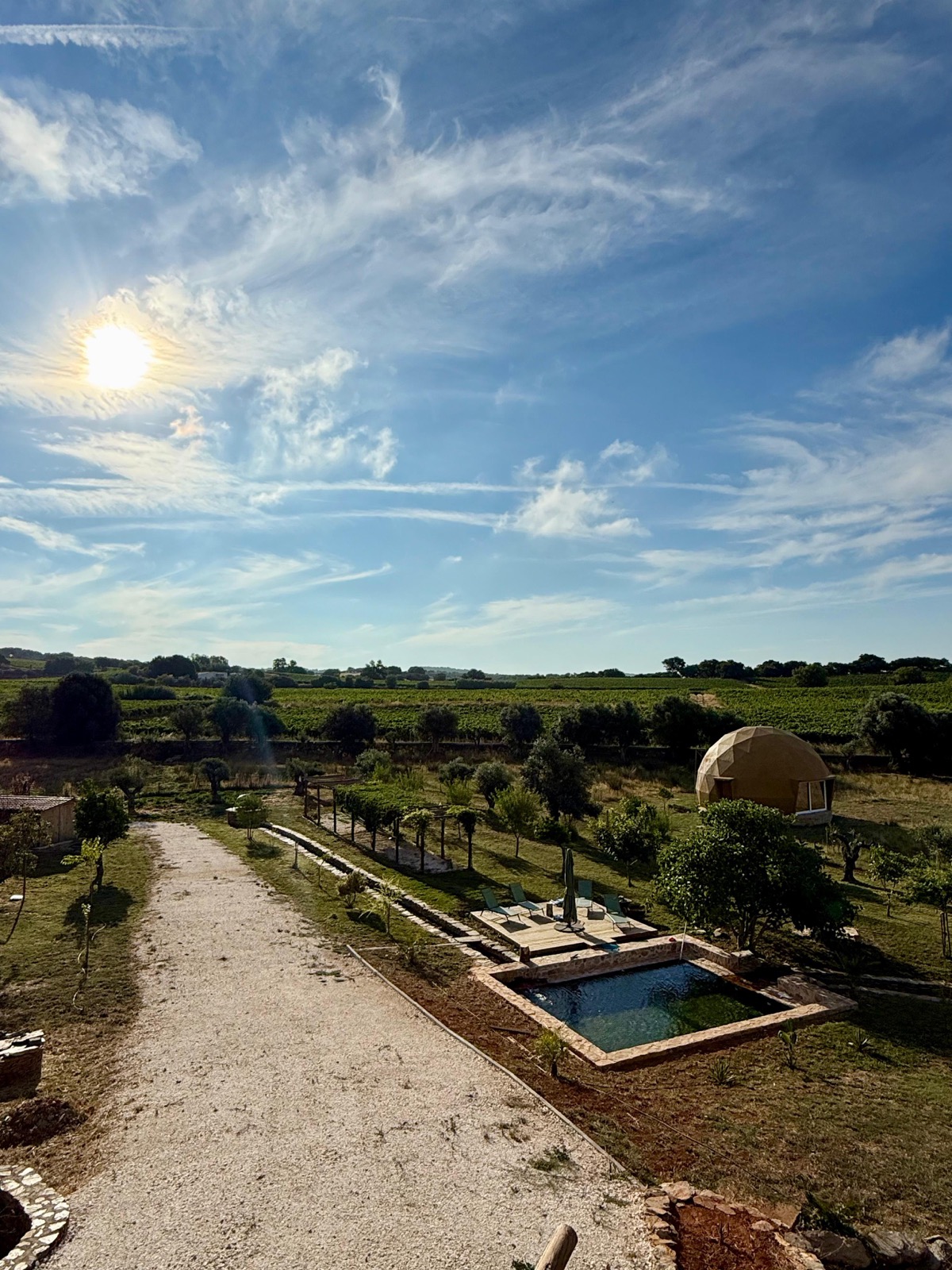 Aerial view of the pool, dome and vineyards