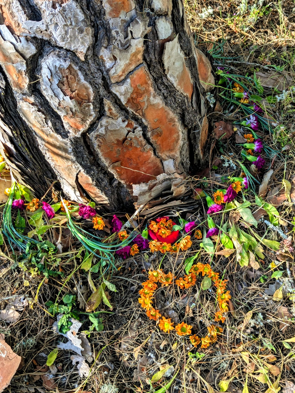 Flower earth altar at the base of a tree