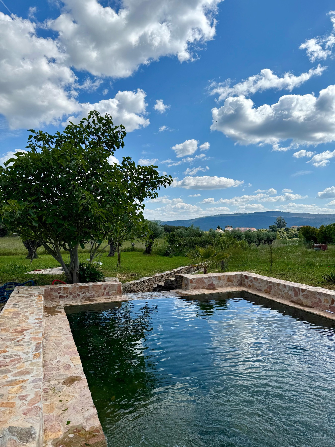 Natural spring pool overlooking the vineyards